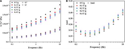 Effect of cyclodextrin glucosyltransferase extracted from Bacillus xiaoxiensis on wheat dough and bread properties